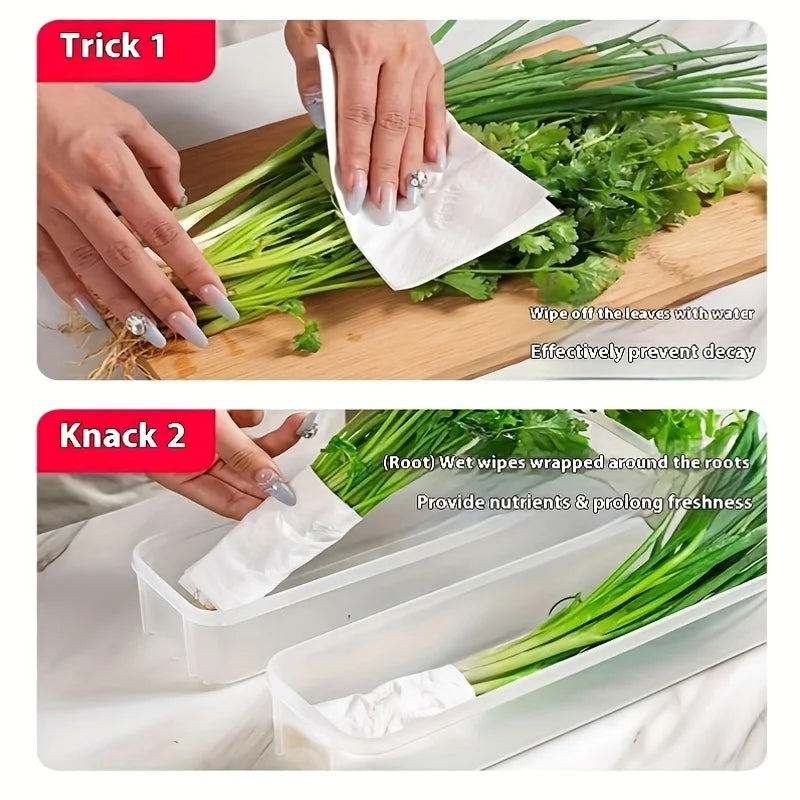 Refrigerator Fresh-Keeping Organizer Boxes Vegetable Fruit Fresh-Keeping Food Preservation Boxes Transparent Sealed Storage Box