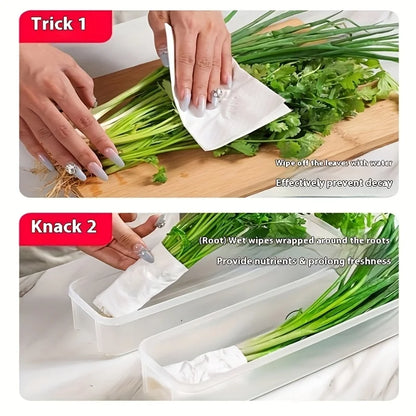 Refrigerator Fresh-Keeping Organizer Boxes Vegetable Fruit Fresh-Keeping Food Preservation Boxes Transparent Sealed Storage Box
