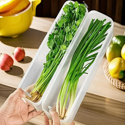 Refrigerator Fresh-Keeping Organizer Boxes Vegetable Fruit Fresh-Keeping Food Preservation Boxes Transparent Sealed Storage Box