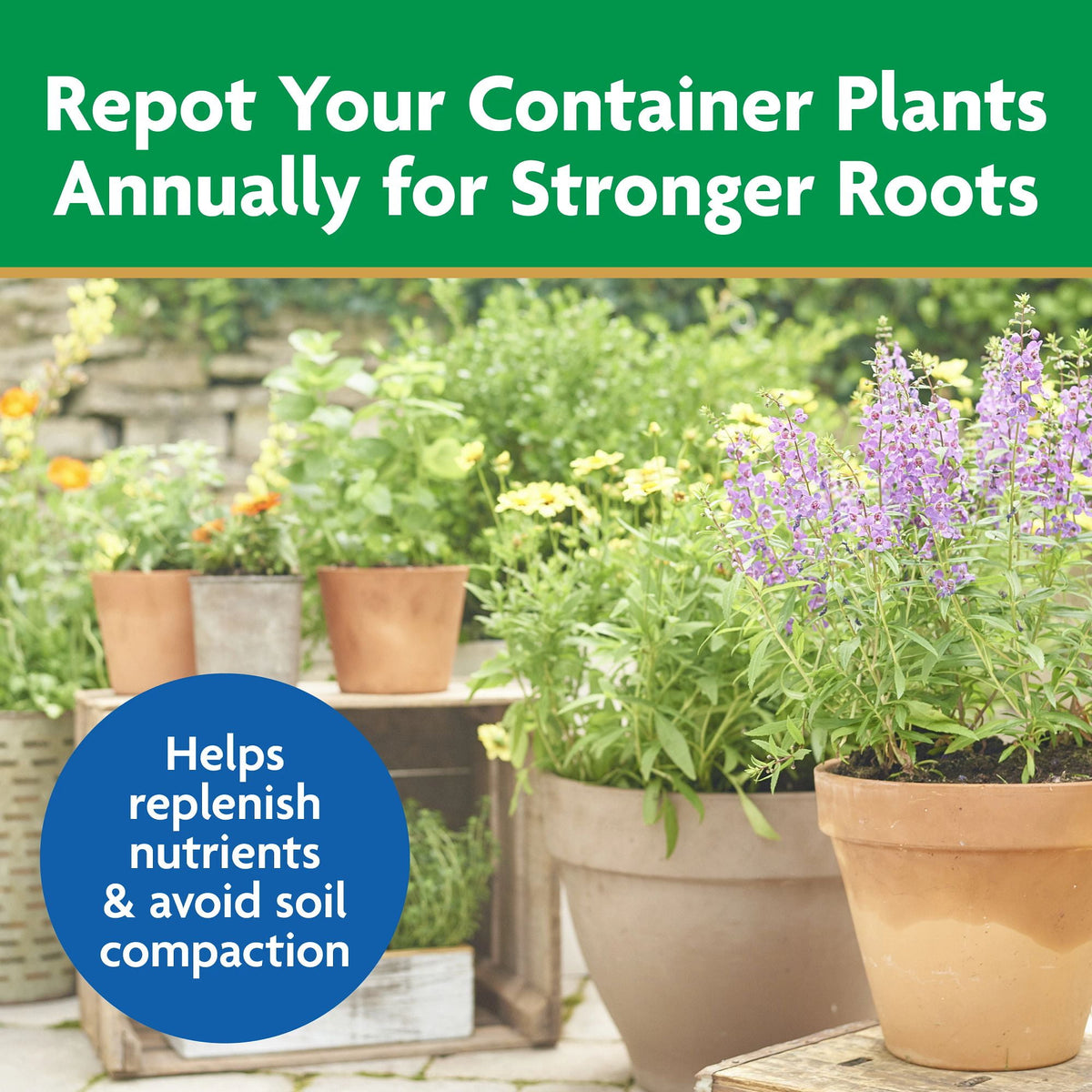 Moisture Control Potting Mix, for Container Plants, 25 Qt.