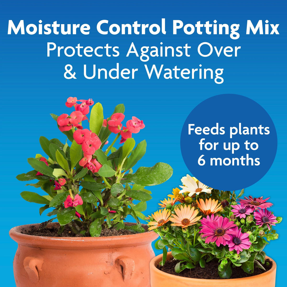 Moisture Control Potting Mix, for Container Plants, 25 Qt.